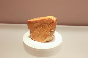松梅鹤薄意百寿印