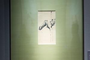 芭蕉稿