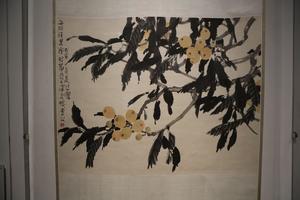 枇杷