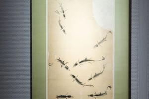 小鱼群