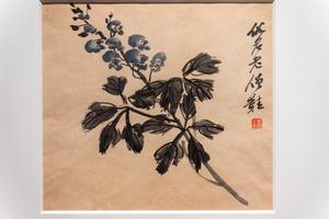 花草