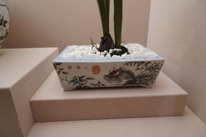 白釉墨彩莱菔菜秋虫纹长方式水仙盆