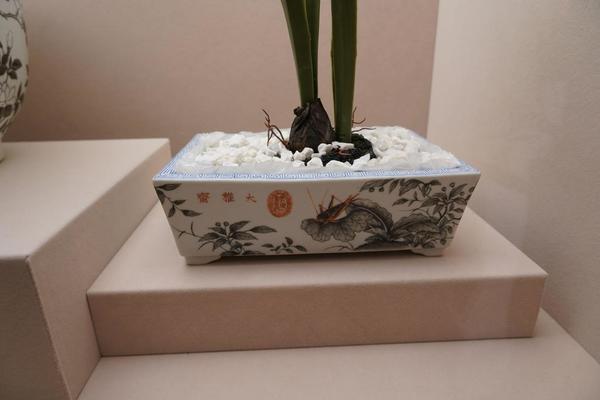 白釉墨彩莱菔菜秋虫纹长方式水仙盆