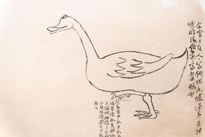 摹铜鸭香炉稿