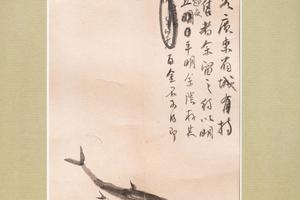 鱼