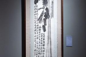 芭蕉