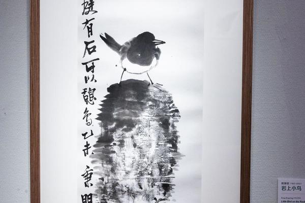 岩上小鸟