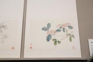 设色花卉册（选页）