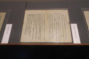 《庚辰降生之书画家》手稿