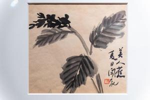 花草