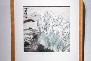 蝴蝶花