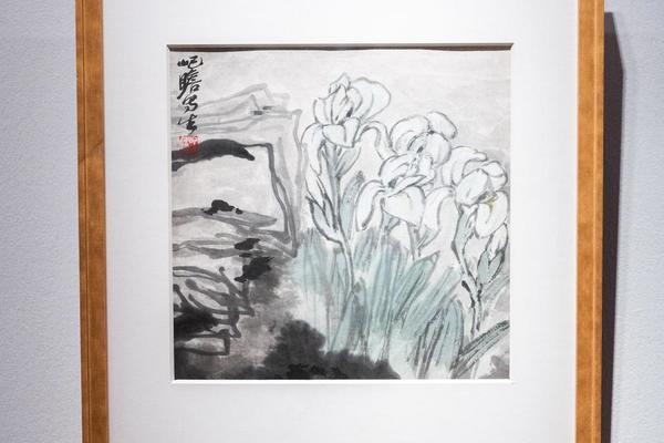 蝴蝶花