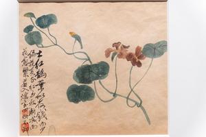 花草