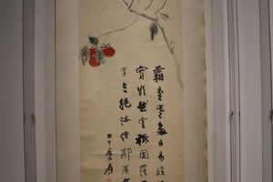 华山朱柿