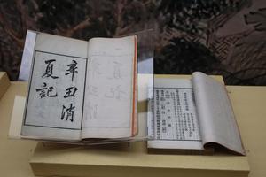 辛丑销夏记