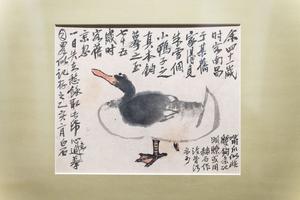 临摹八大小鸭