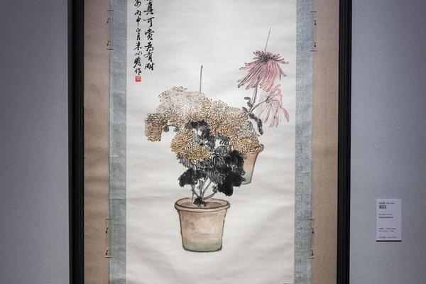 菊花