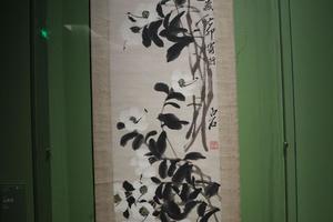 山茶花