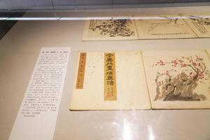 梅花册（十二开）（选页）