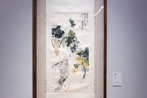 丝瓜