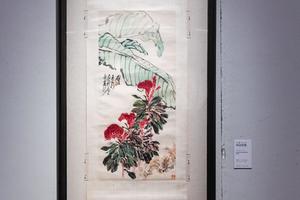 鸡冠芭蕉