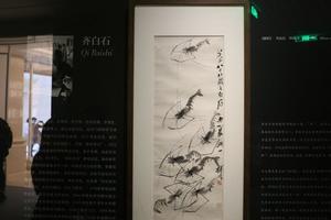群虾