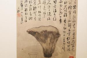 杂画册