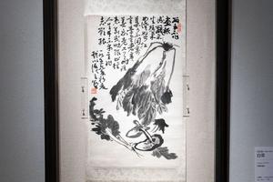 白菜