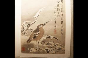 花鸟草虫图册