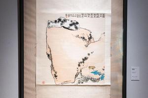 睡猫