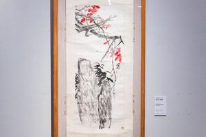 紫竹丹枫