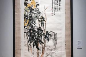 五月庐橘