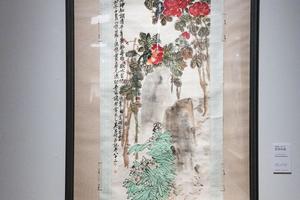牡丹水仙