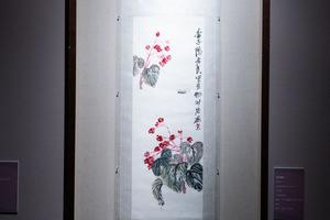 海棠蜘蛛