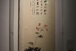 华山秋牡丹