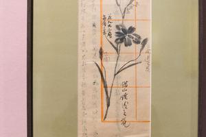 花卉稿