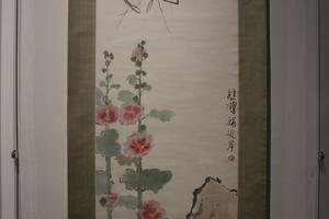 蜀葵虾