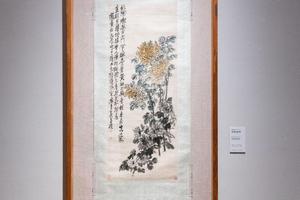 秋菊灿然