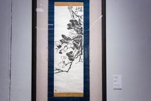 广玉兰
