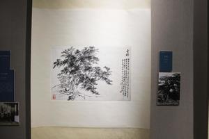 古桧
