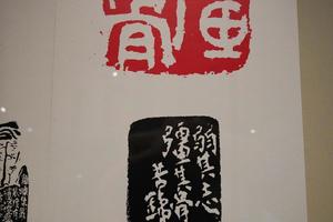 强其骨