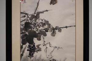 松鼠葡萄