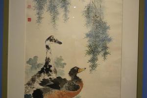 春柳双鸭