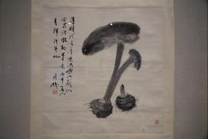 芋艿