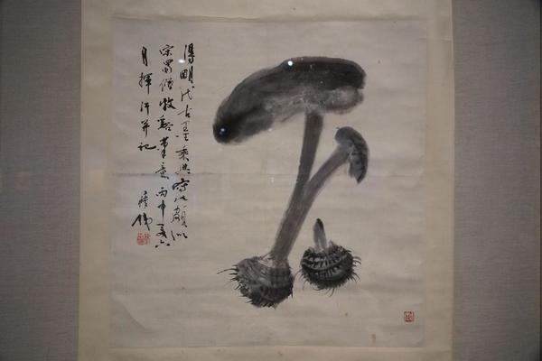 芋艿