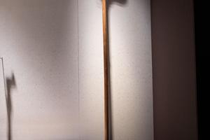 木鸠杖
