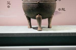 蔡子鼎