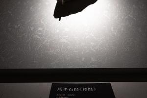 熹平石经《诗经》