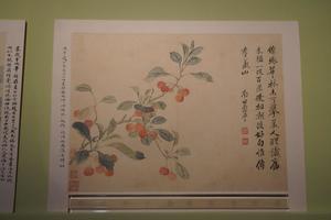 清恽寿平花卉册