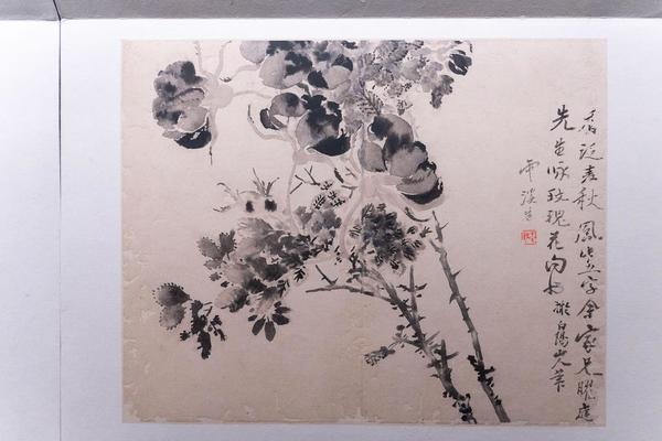 杂画册